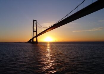 difference between viruses and bacteria