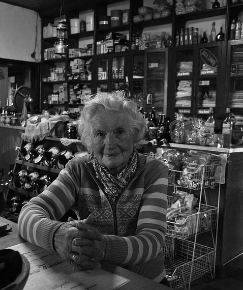 difference between viruses and bacteria