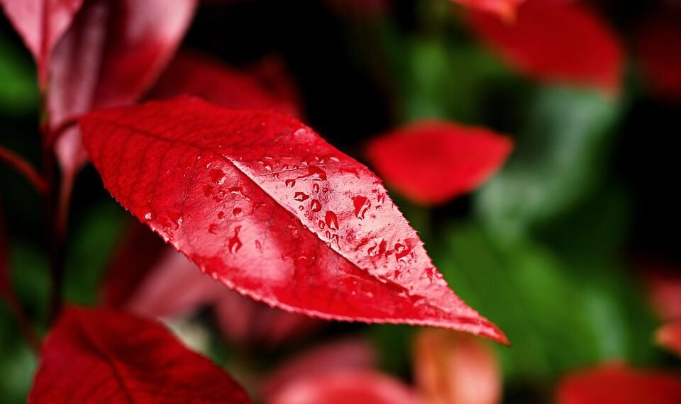 importance of hydration for overall health