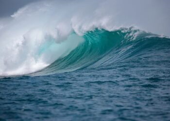 impact of british new wave cinema