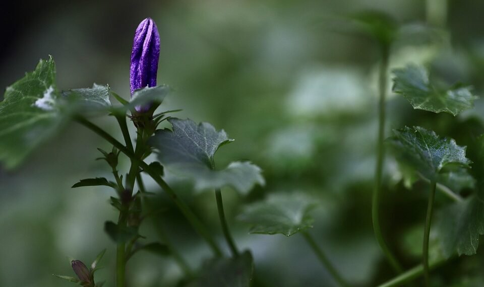 early hollywood film making techniques