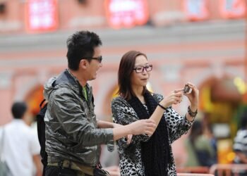 how the cardiovascular system functions