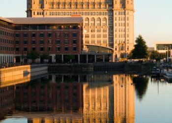 role of the liver in detoxification