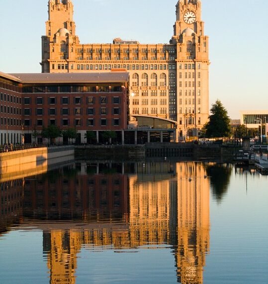 role of the liver in detoxification