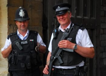 what is the constitutional monarchy system in the uk