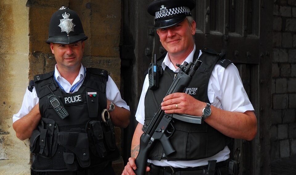 what is the constitutional monarchy system in the uk