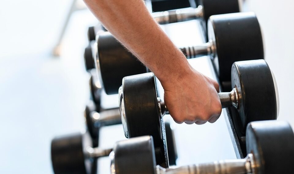 how muscles and bones work together