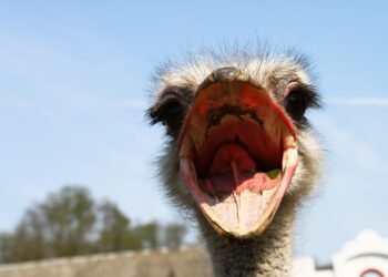 how the nervous system controls