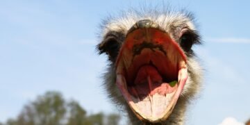 how the nervous system controls