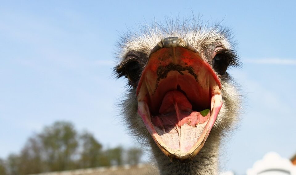 how the nervous system controls