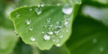 importance of hydration for overall health
