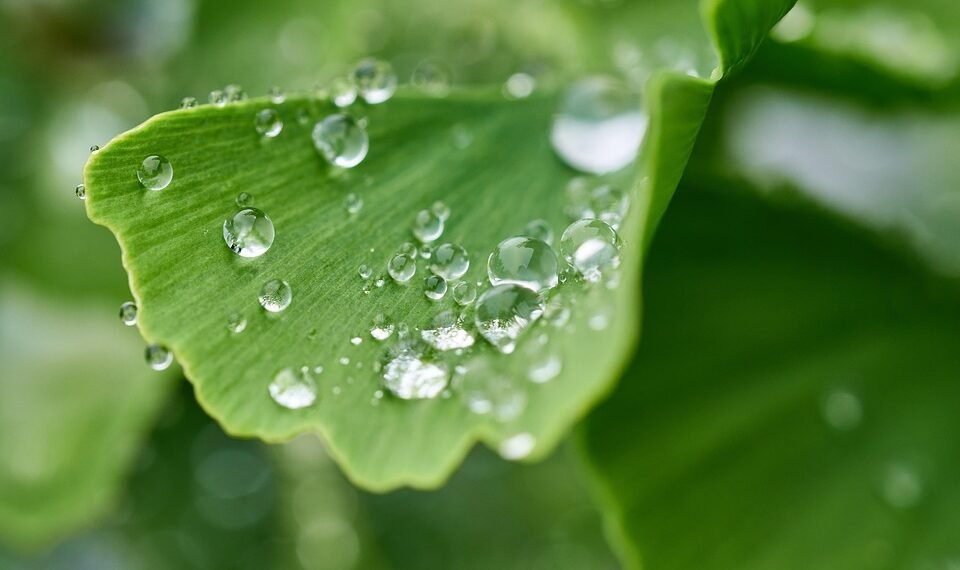 importance of hydration for overall health