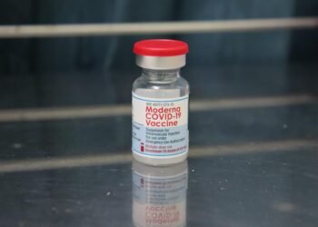 how vaccines support immunity