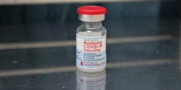 how vaccines support immunity