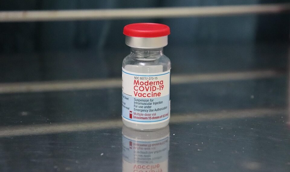 how vaccines support immunity