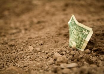 basics of body metabolism and energy use