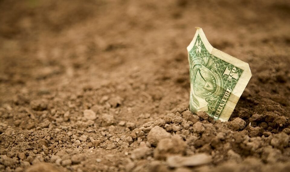 basics of body metabolism and energy use