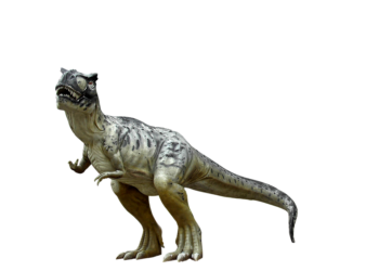 evolution of movie marketing and trailers