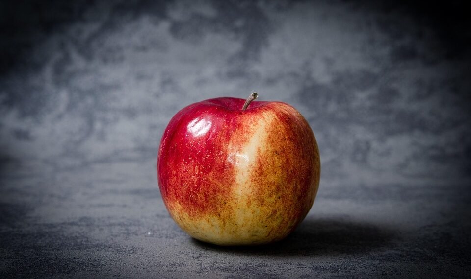 common vitamins and their roles in the body