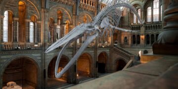 evolution of movie theatres and exhibition