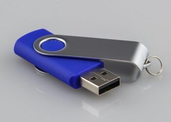 energy transfer in ecosystems explained