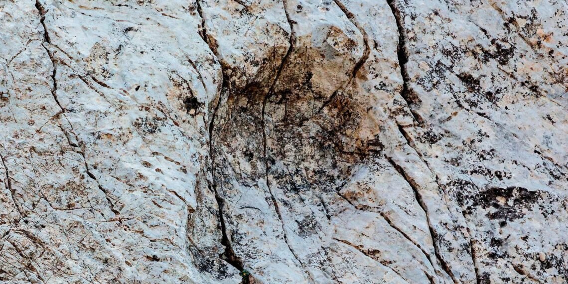 Thousands of Dinosaur Footprints Unearthed on Italian Rock Face
