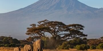 Tragic Helicopter Crash on Mount Kilimanjaro Claims Five Lives