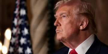 Trump Administration's Discontent with Europe's Online Regulations Explained