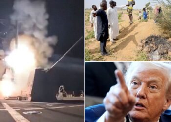 Trump's ISIS Claims in Nigeria Called 'Sketchy' by Presidential Adviser