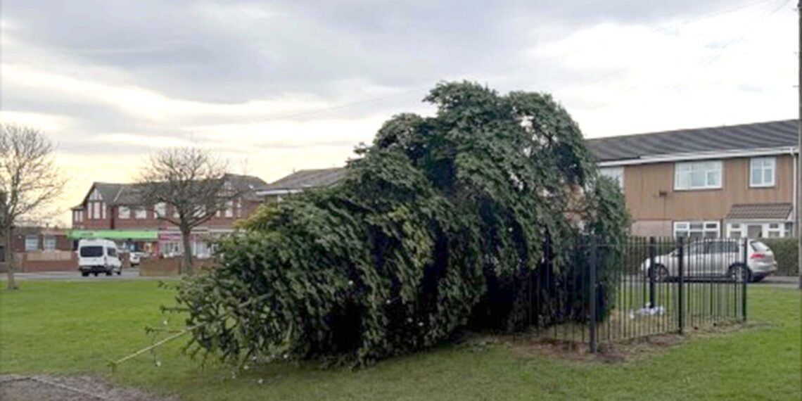 Two Men Arrested After Christmas Tree Vandalism Following Lights Switch-On