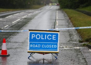 Two Teenagers Killed, One Seriously Injured in Tesla Tree Crash in the UK
