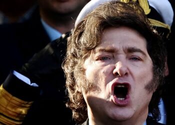 UK Responds to Milei’s Claims on Arms Exports and Falklands Dispute