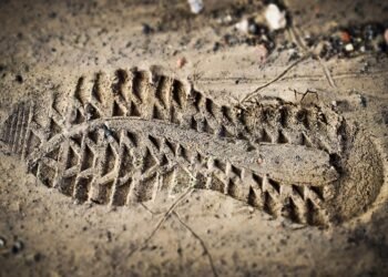 what is digital footprint and why it matters