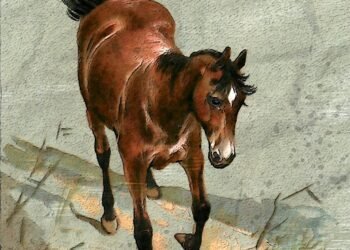 importance of film preservation and restoration