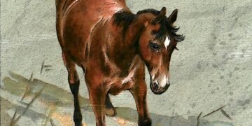 importance of film preservation and restoration