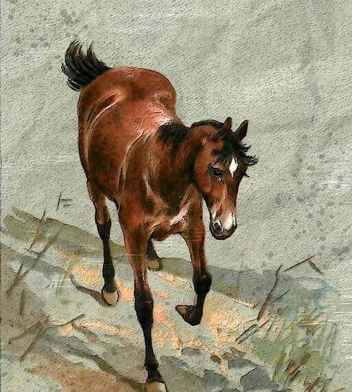 importance of film preservation and restoration