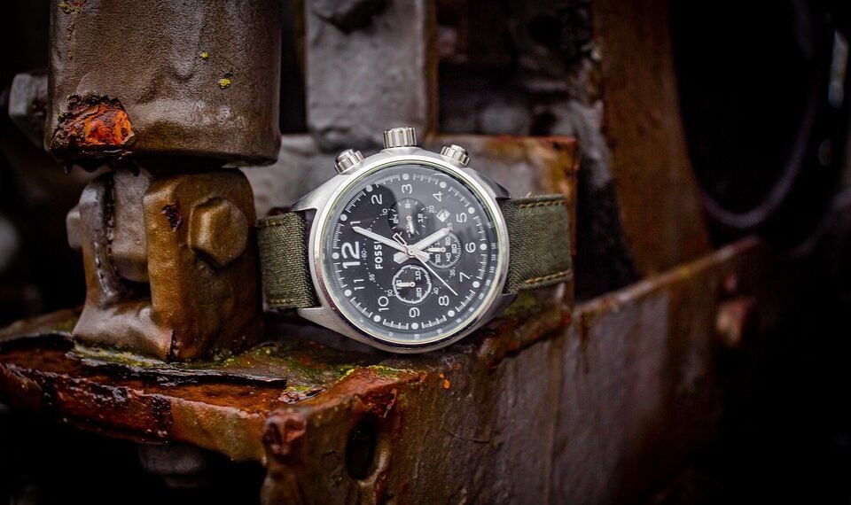 fossil formation and what fossils tell us