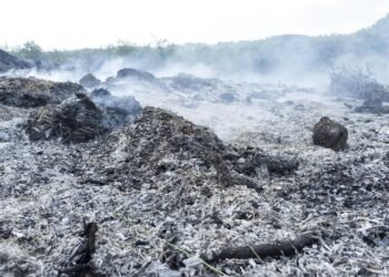 what is fossil fuel and how it forms