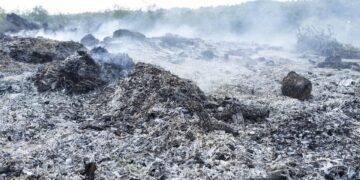 what is fossil fuel and how it forms