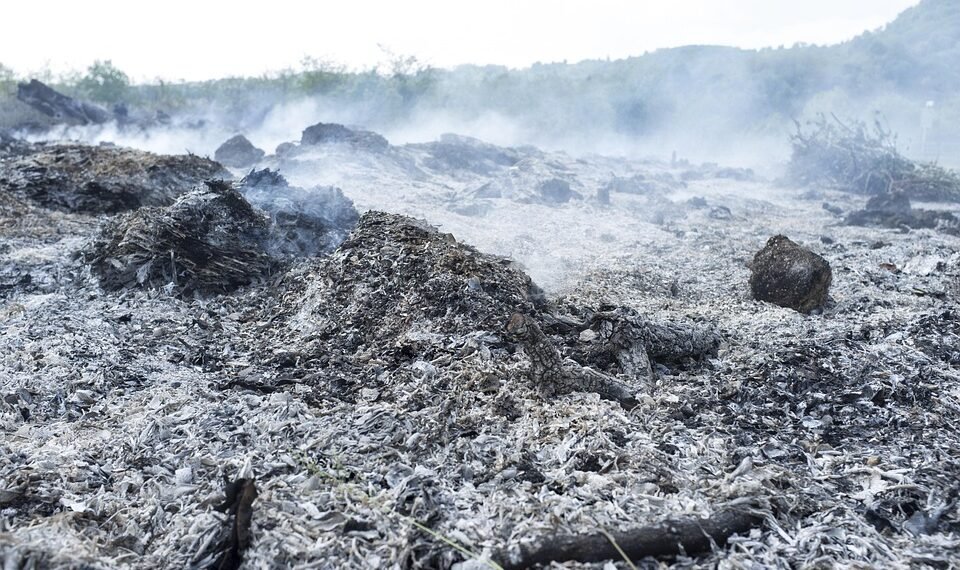 what is fossil fuel and how it forms