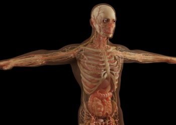 effects of smoking on human health