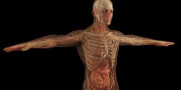effects of smoking on human health