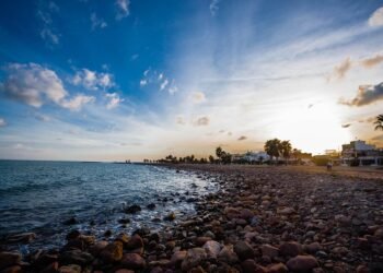 importance of sleep for mental and physical health