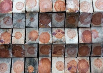 how sound waves travel through different materials