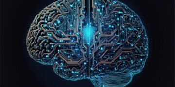 how the human brain processes information
