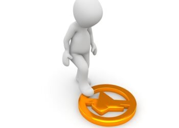 how the cardiovascular system functions