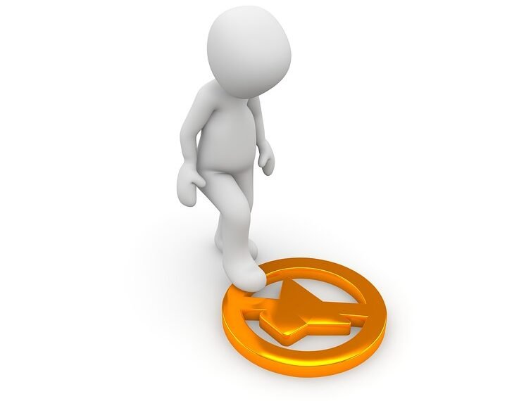 how the cardiovascular system functions