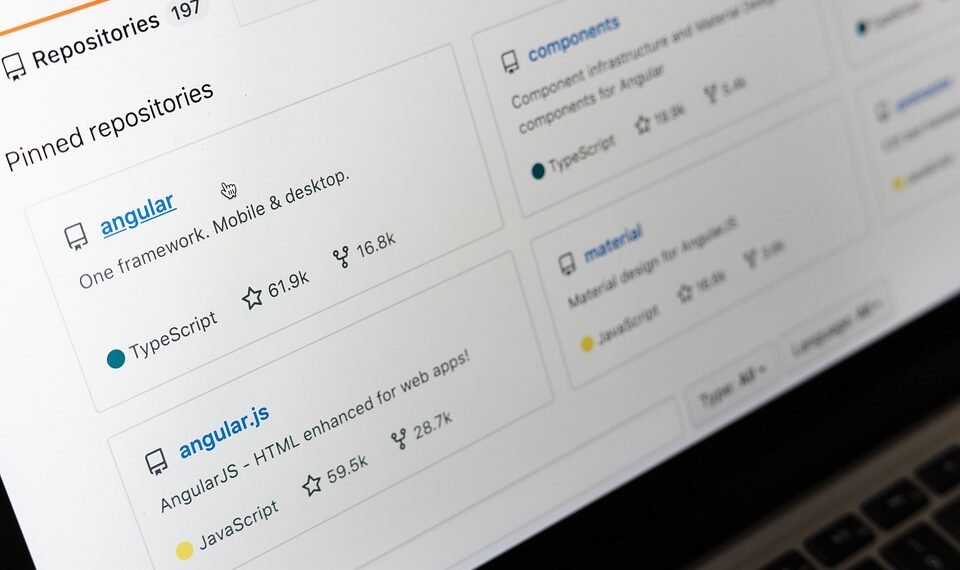 how the cardiovascular system functions