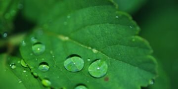 importance of hydration for overall health