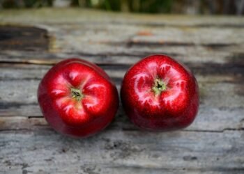 healthy eating habits and nutrition basics